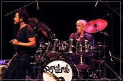 6248 Yardbirds 06-10-2010 (Medium)